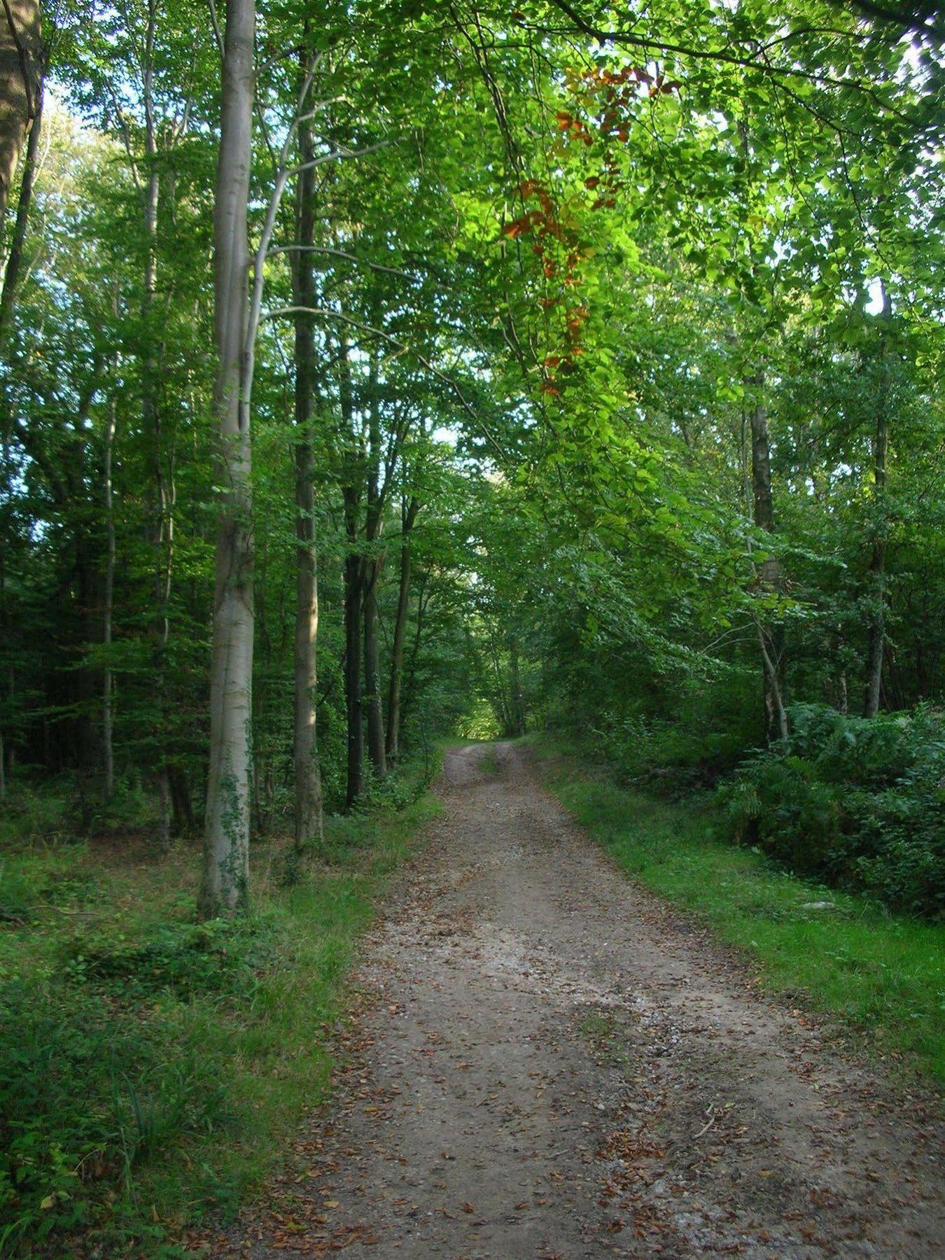 Les Jardins D'hardelot Hotel 3*